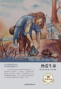 旧锦长歌
