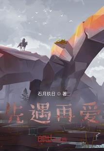 圣龙光辉
