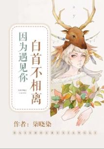醉梦仙剑