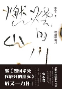 重生翻译官