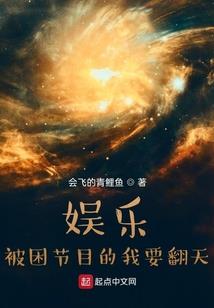 第33区