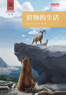 幽梦阳光卖苹果