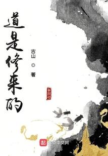 精灵宝可梦—外传编年史